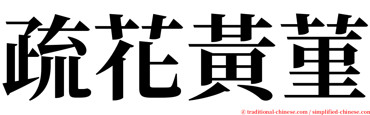 疏花黃菫 serif font