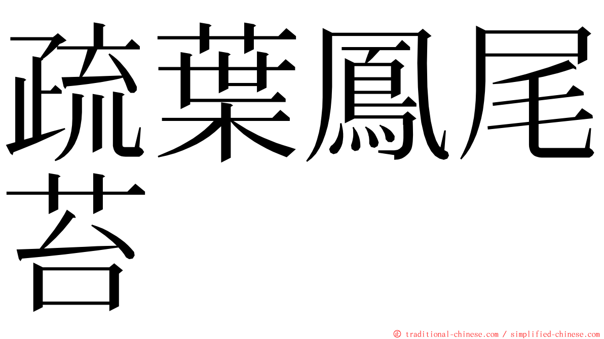 疏葉鳳尾苔 ming font