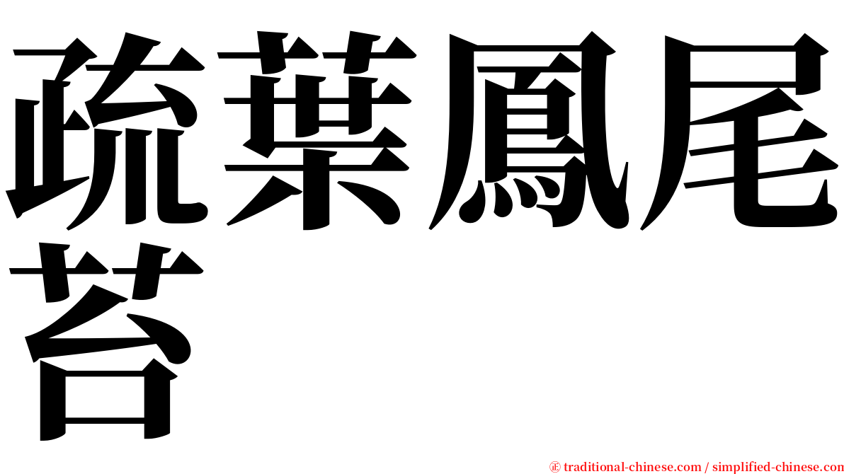 疏葉鳳尾苔 serif font