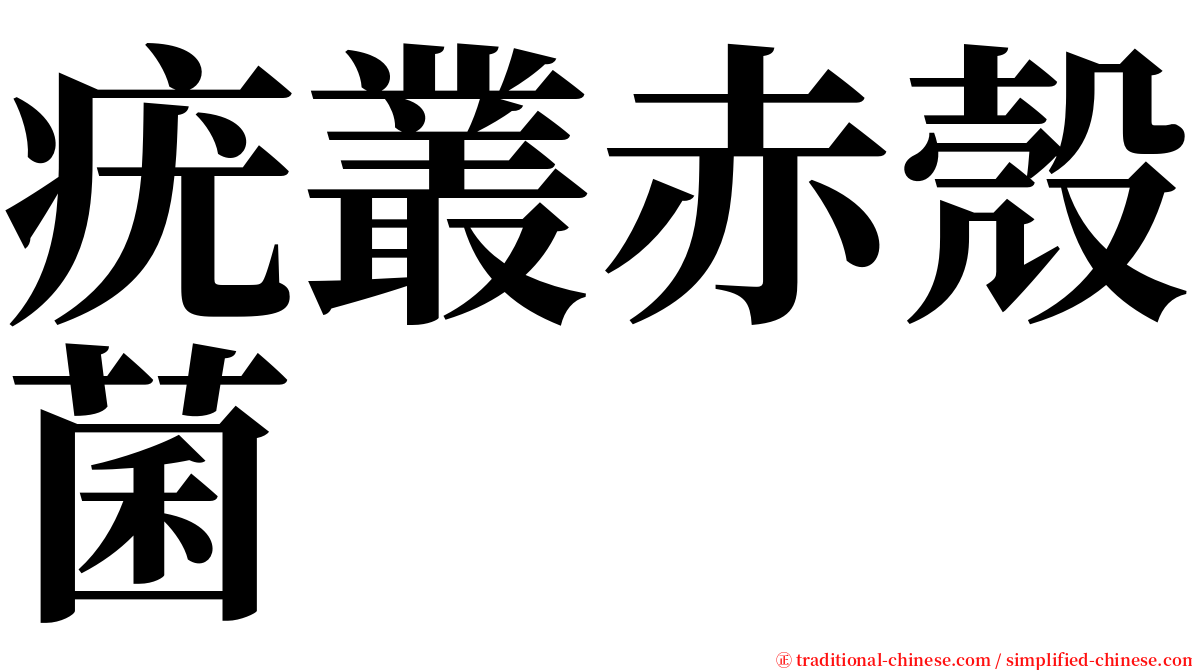 疣叢赤殼菌 serif font