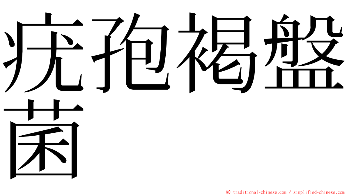 疣孢褐盤菌 ming font