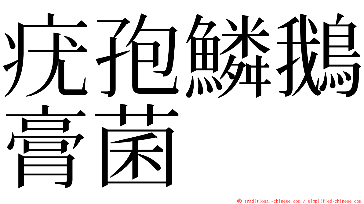 疣孢鱗鵝膏菌 ming font