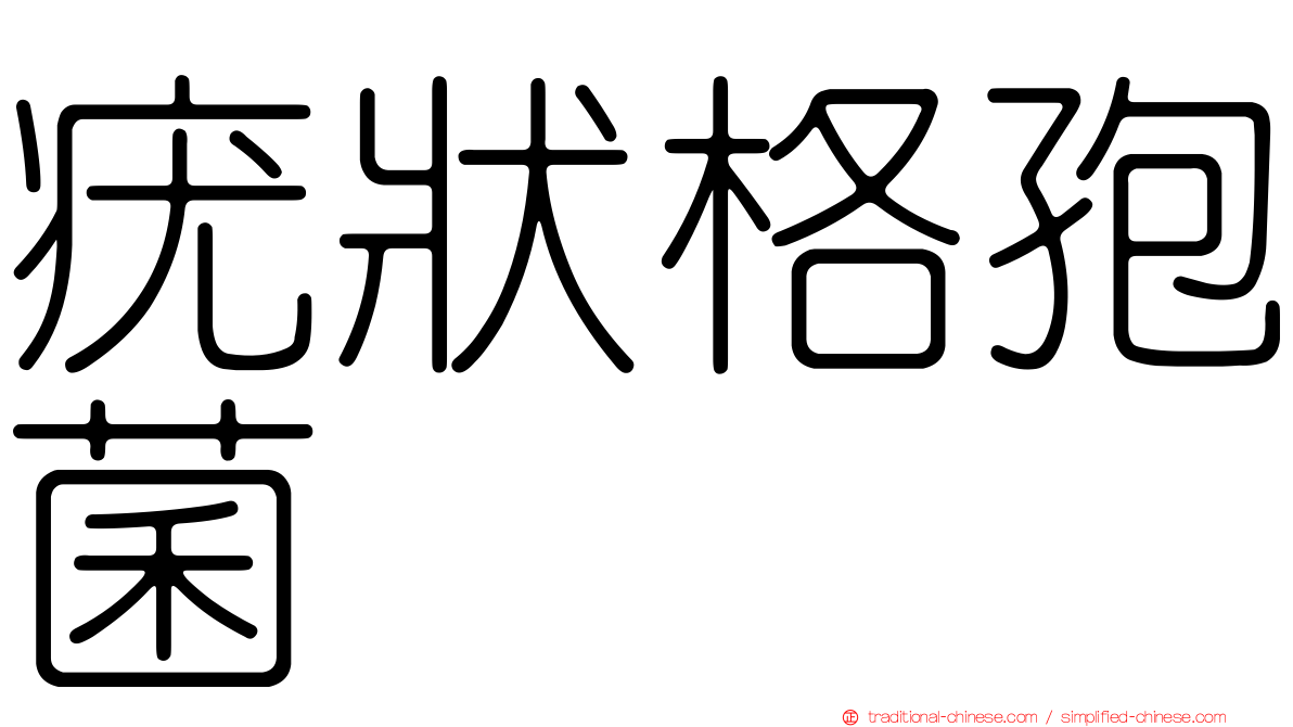 疣狀格孢菌