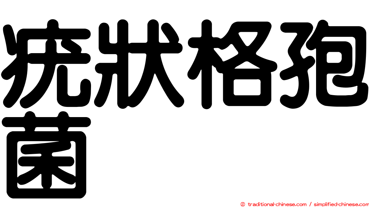 疣狀格孢菌