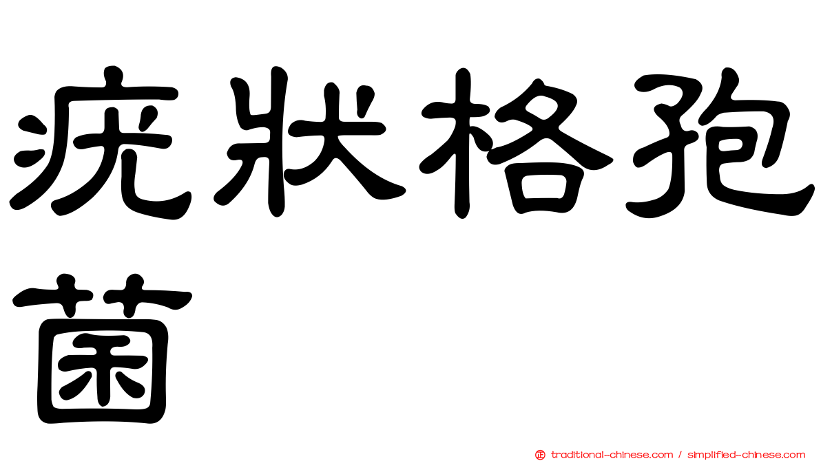疣狀格孢菌