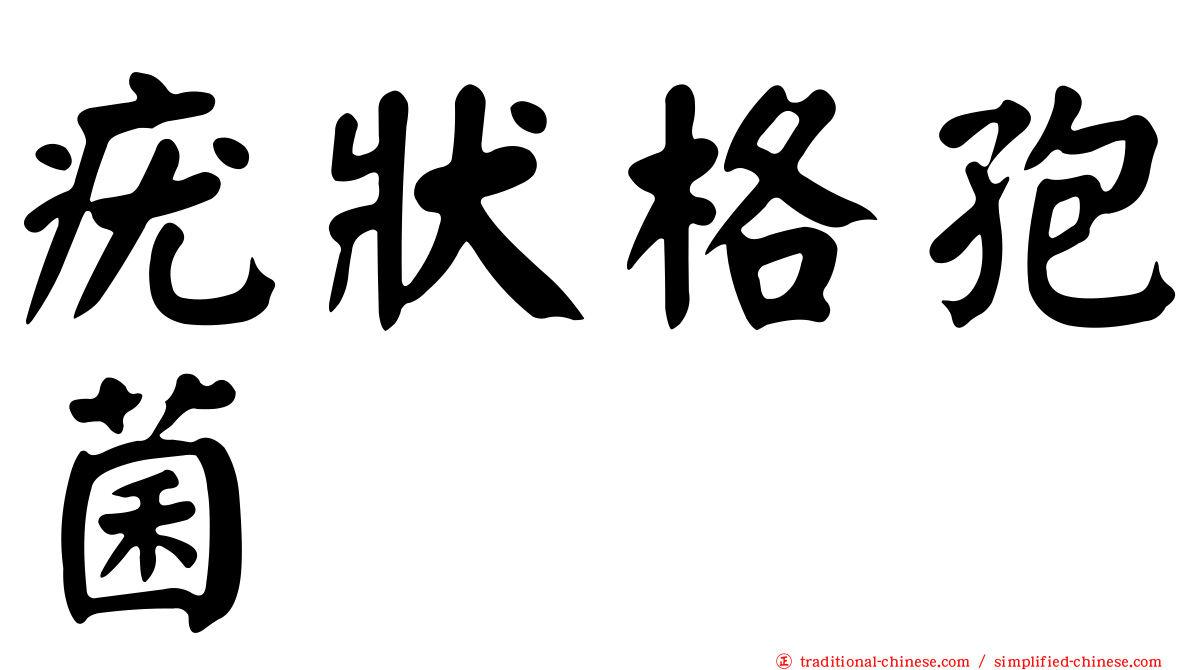 疣狀格孢菌