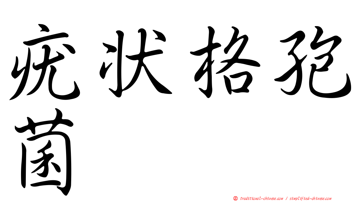 疣狀格孢菌