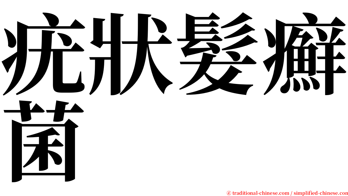 疣狀髮癬菌 serif font