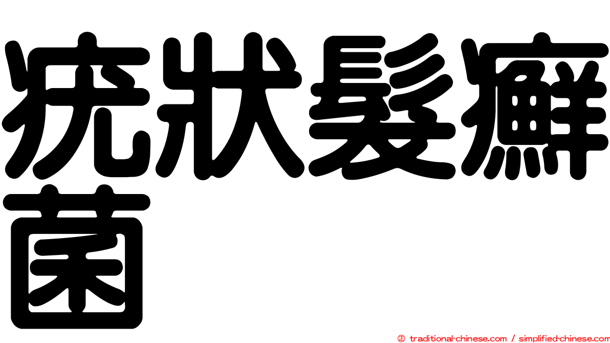 疣狀髮癬菌