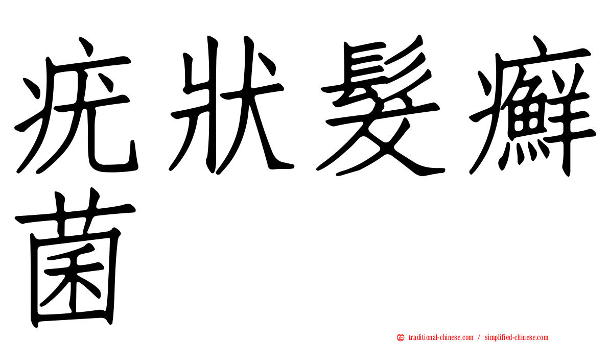 疣狀髮癬菌