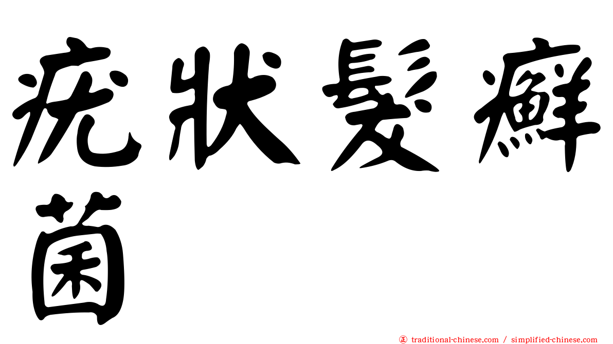 疣狀髮癬菌