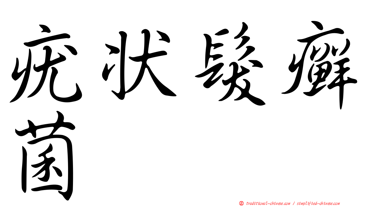 疣狀髮癬菌