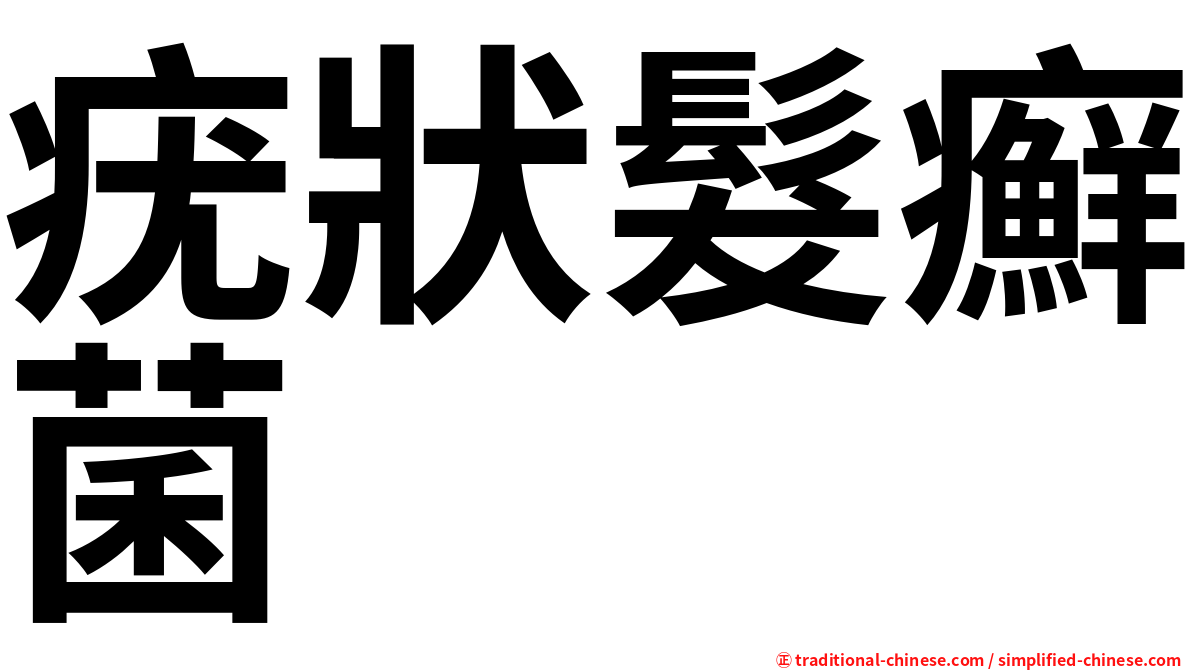 疣狀髮癬菌