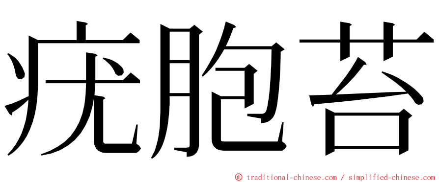 疣胞苔 ming font