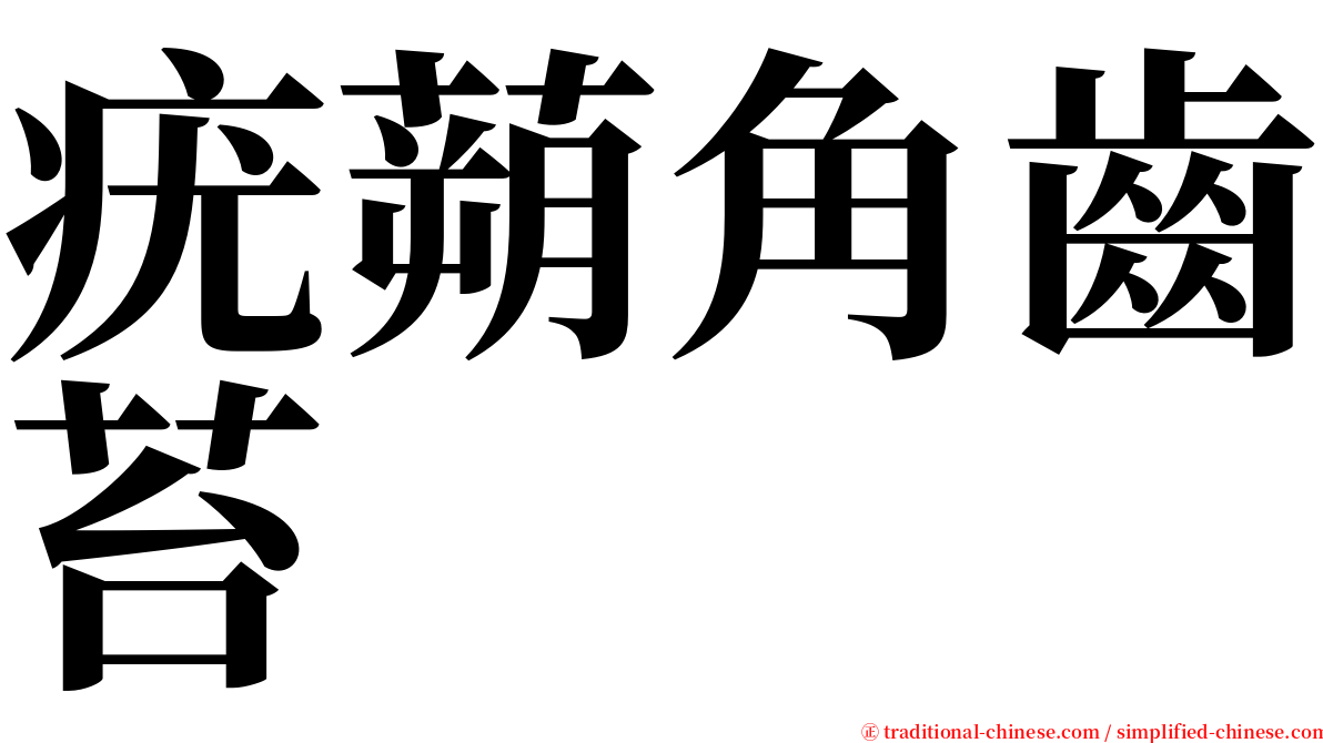 疣蒴角齒苔 serif font