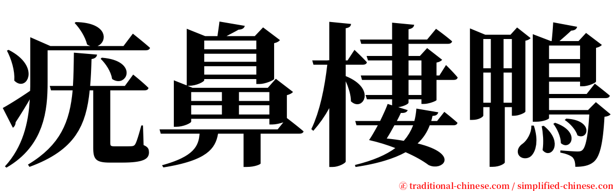 疣鼻棲鴨 serif font