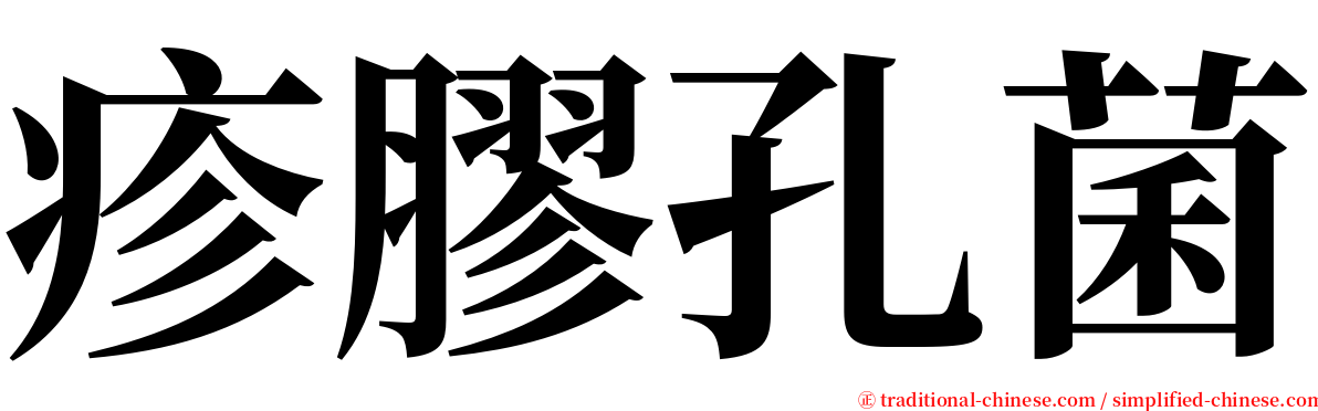 疹膠孔菌 serif font