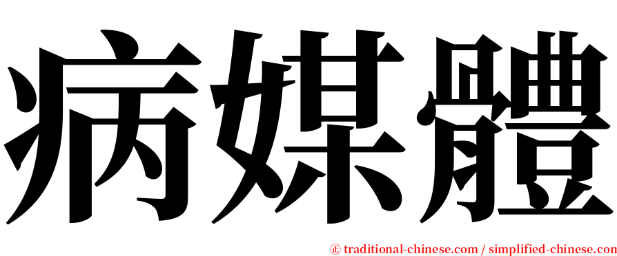 病媒體 serif font