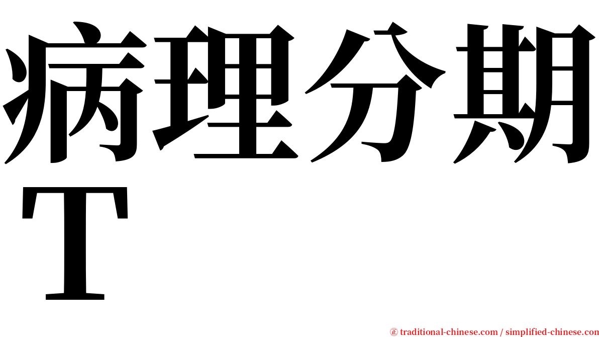 病理分期Ｔ serif font