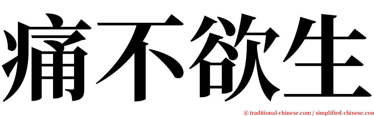 痛不欲生 serif font