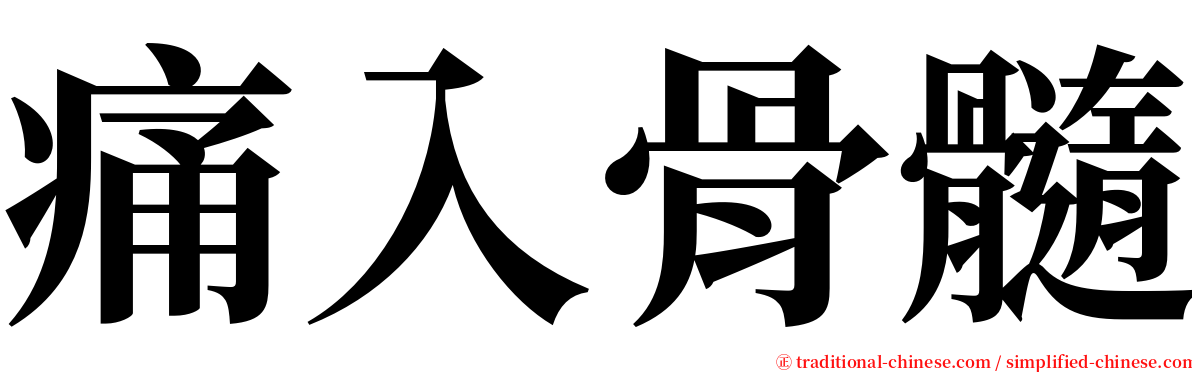 痛入骨髓 serif font