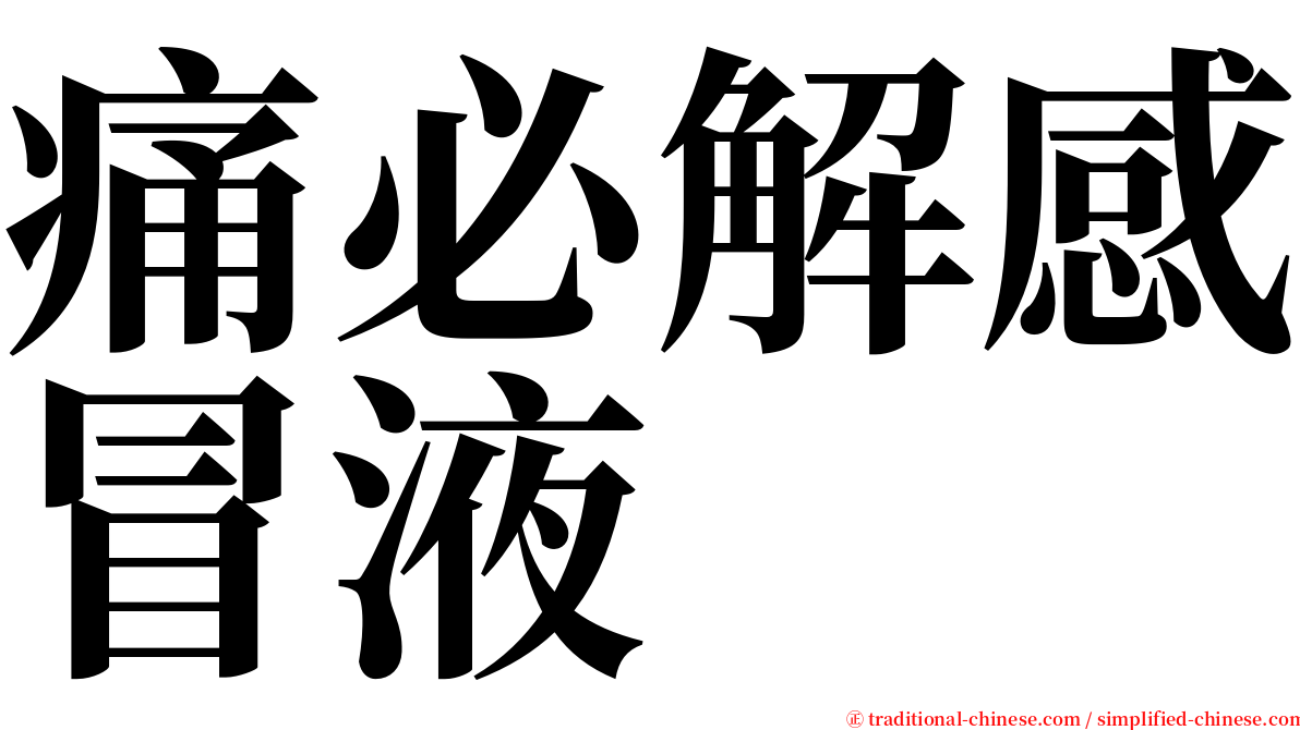 痛必解感冒液 serif font