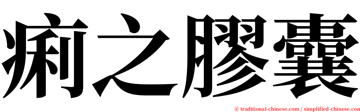 痢之膠囊 serif font