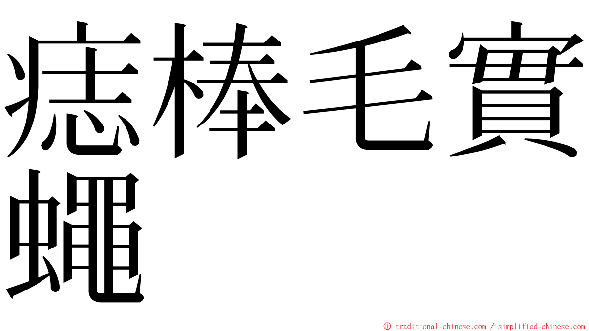 痣棒毛實蠅 ming font