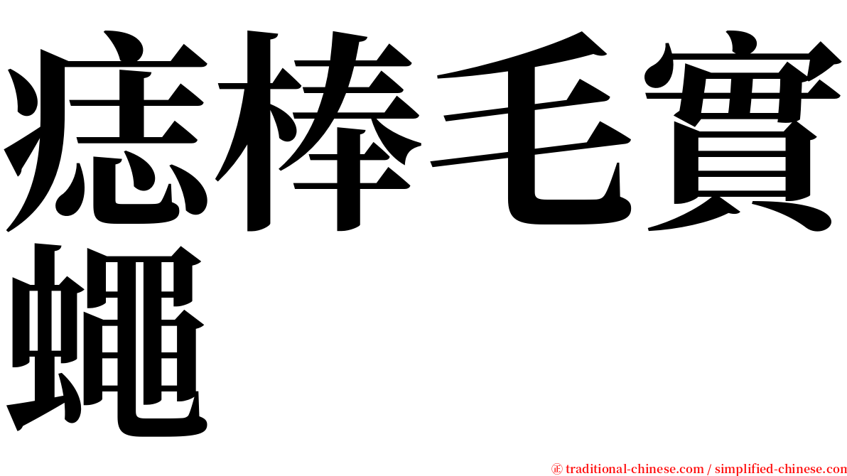 痣棒毛實蠅 serif font