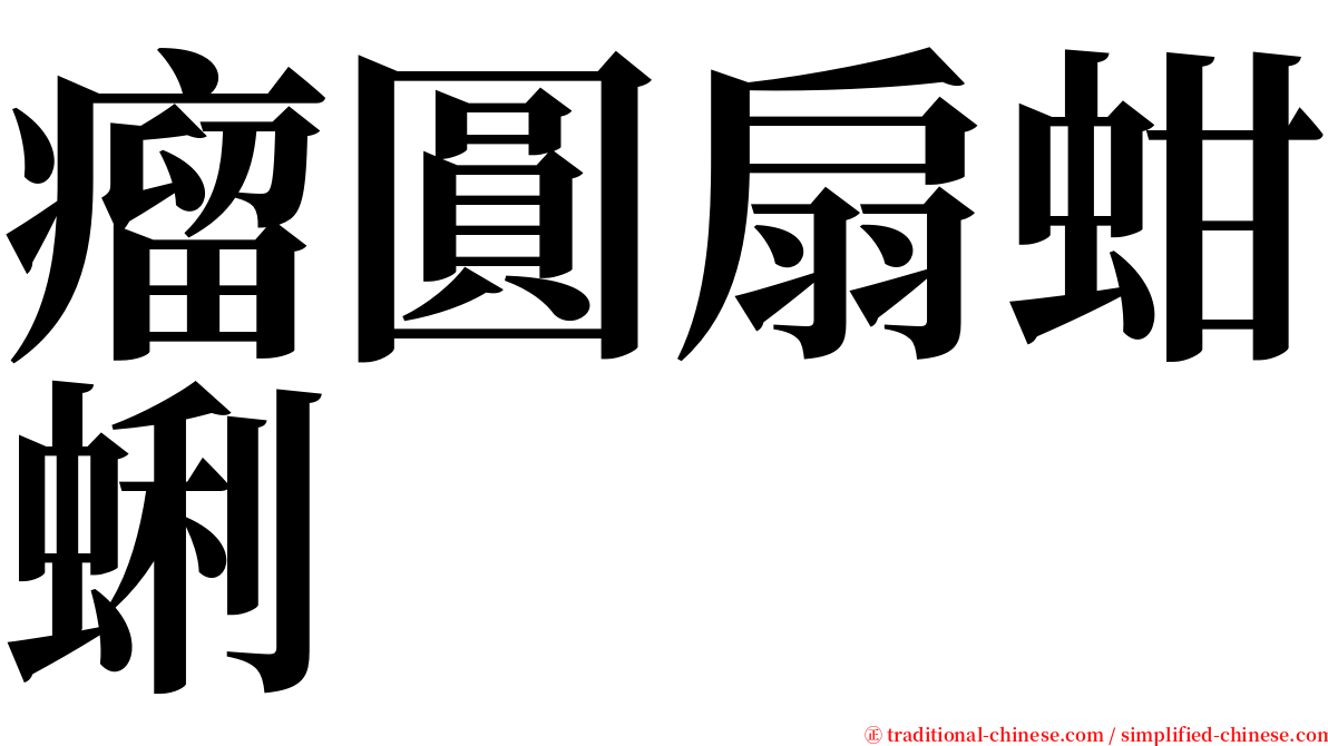 瘤圓扇蚶蜊 serif font