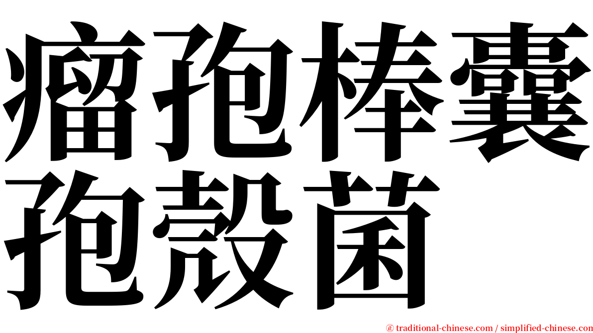 瘤孢棒囊孢殼菌 serif font