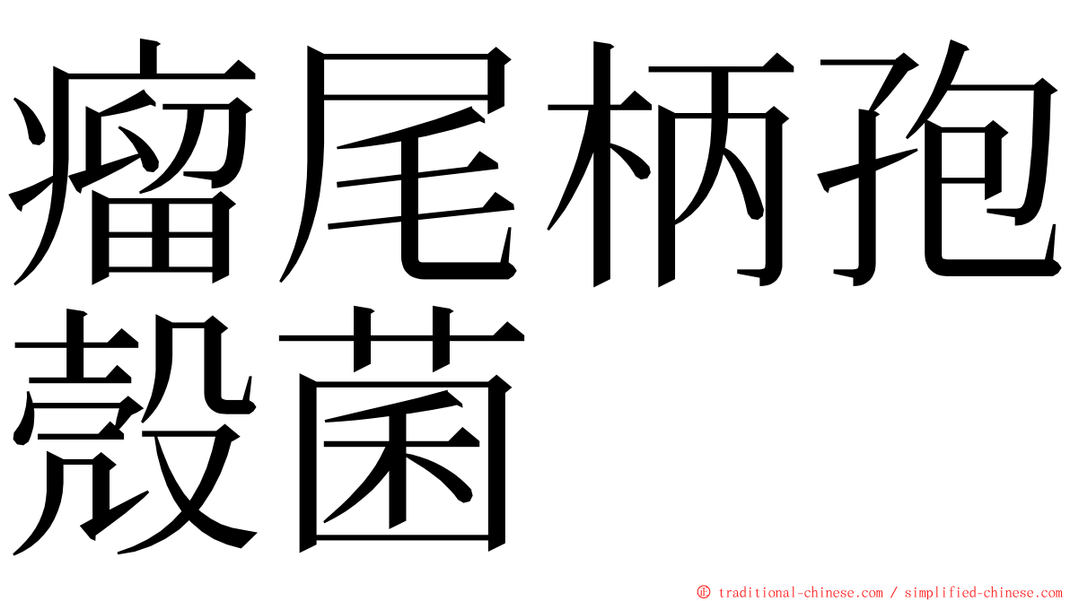 瘤尾柄孢殼菌 ming font