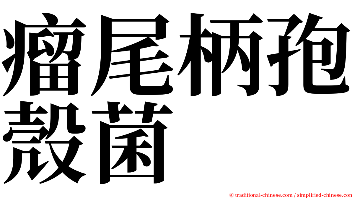 瘤尾柄孢殼菌 serif font