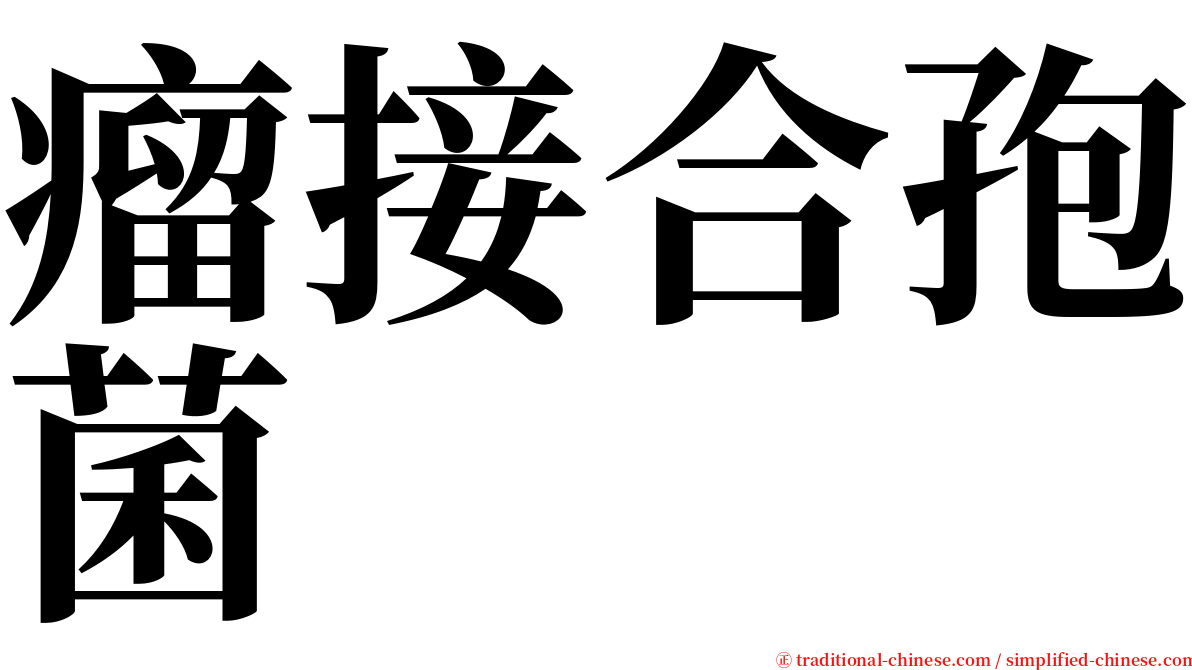 瘤接合孢菌 serif font