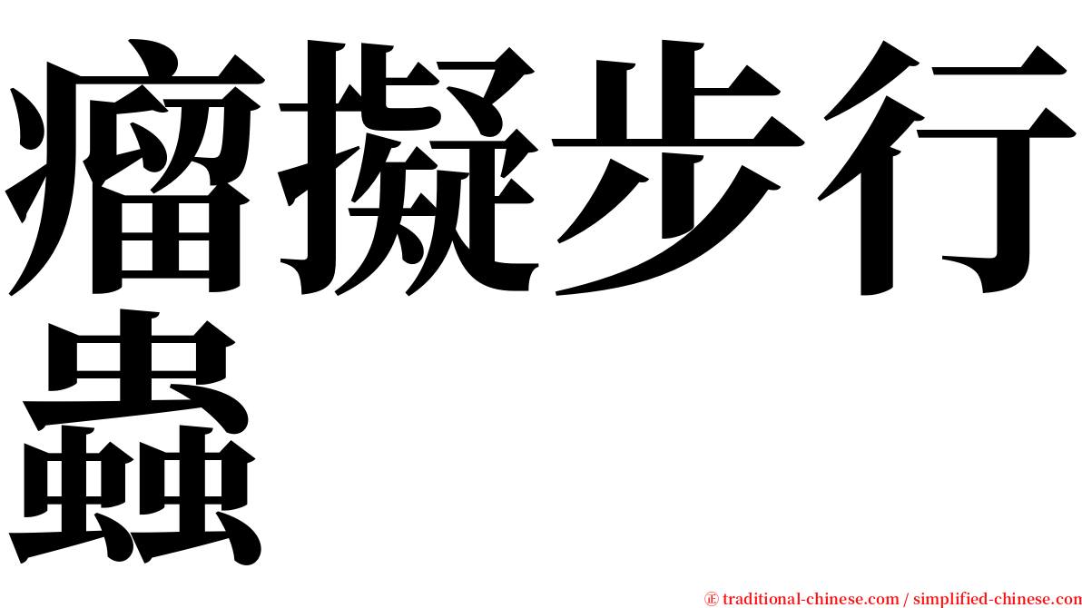 瘤擬步行蟲 serif font