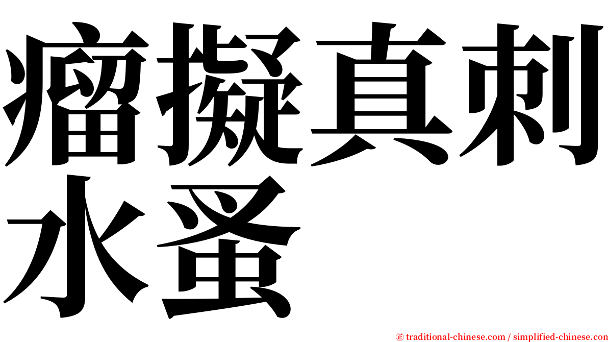 瘤擬真刺水蚤 serif font