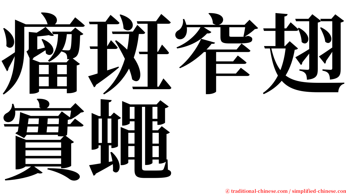 瘤斑窄翅實蠅 serif font