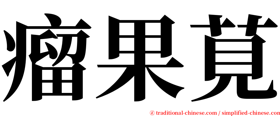 瘤果莧 serif font