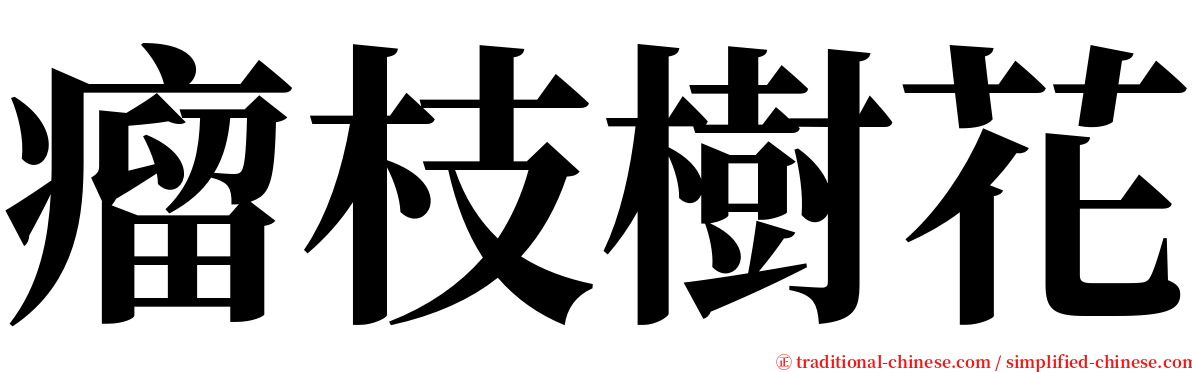 瘤枝樹花 serif font