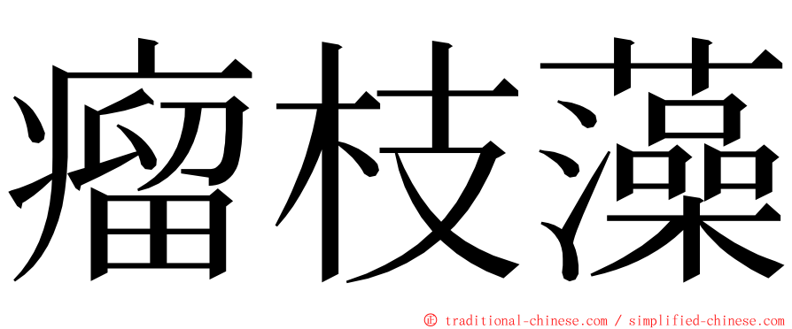 瘤枝藻 ming font