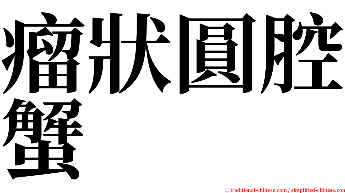 瘤狀圓腔蟹 serif font