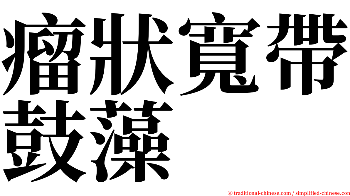 瘤狀寬帶鼓藻 serif font