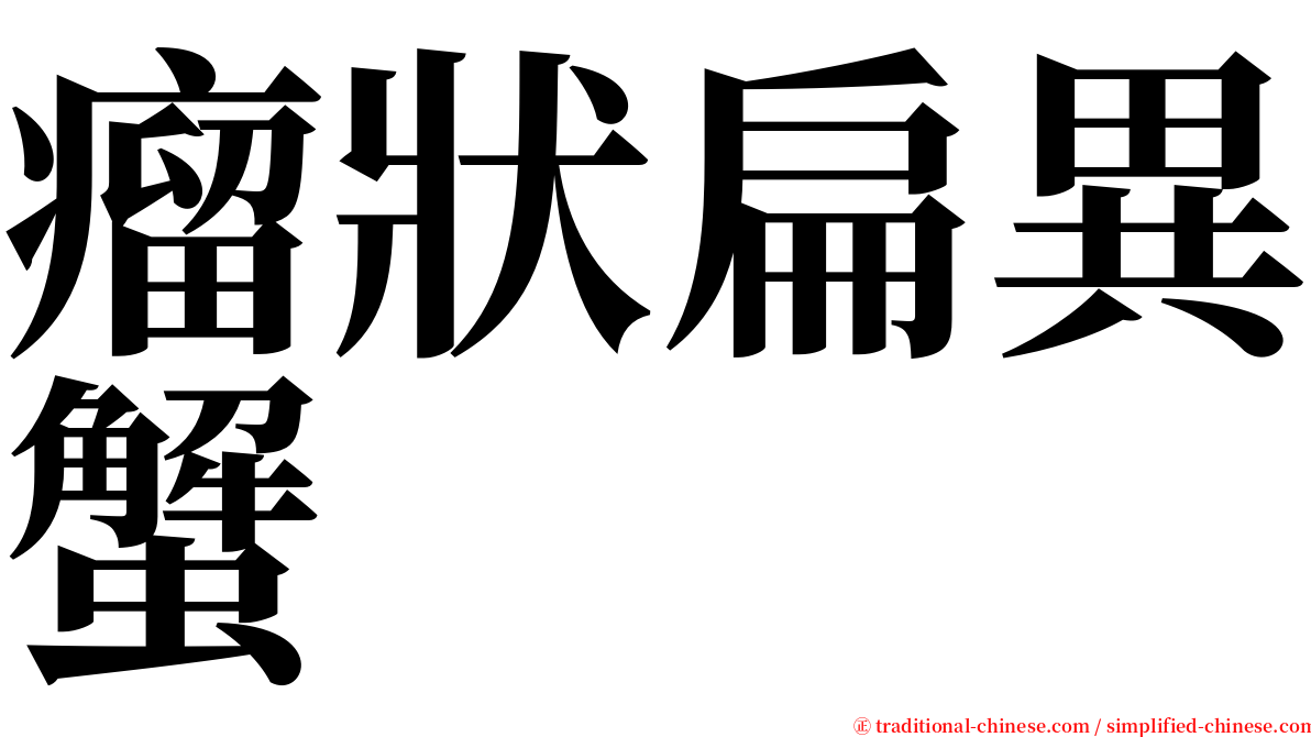 瘤狀扁異蟹 serif font