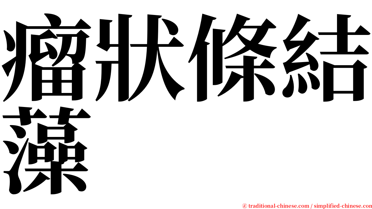 瘤狀條結藻 serif font