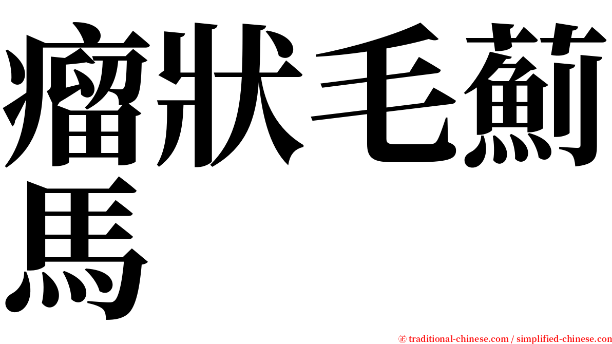 瘤狀毛薊馬 serif font