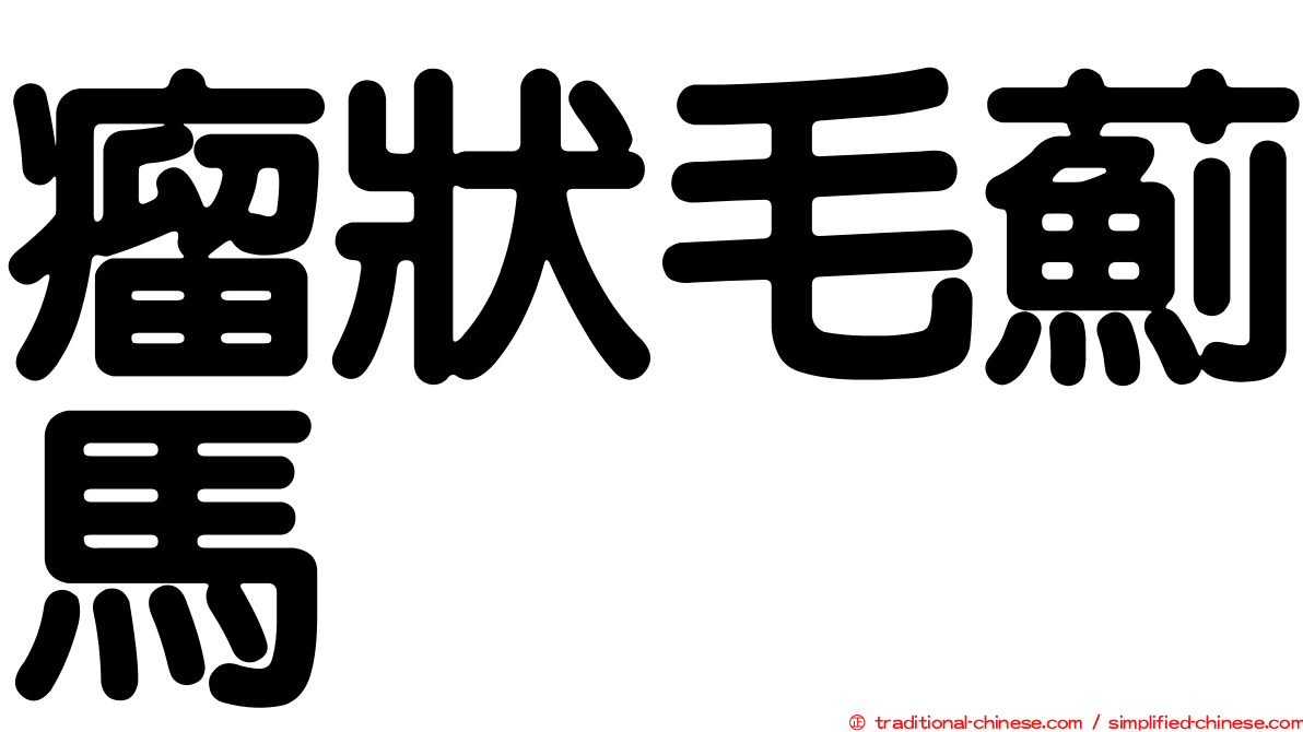 瘤狀毛薊馬