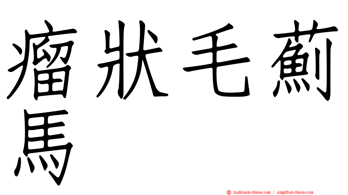 瘤狀毛薊馬