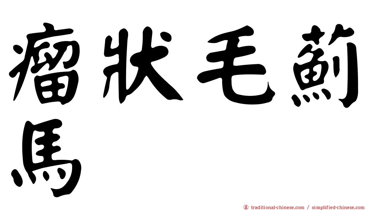 瘤狀毛薊馬
