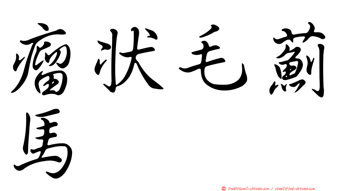 瘤狀毛薊馬