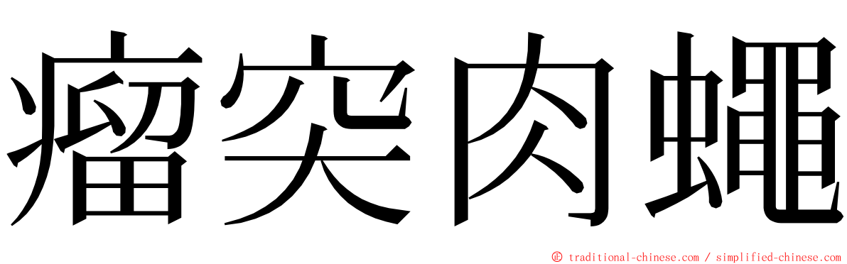 瘤突肉蠅 ming font